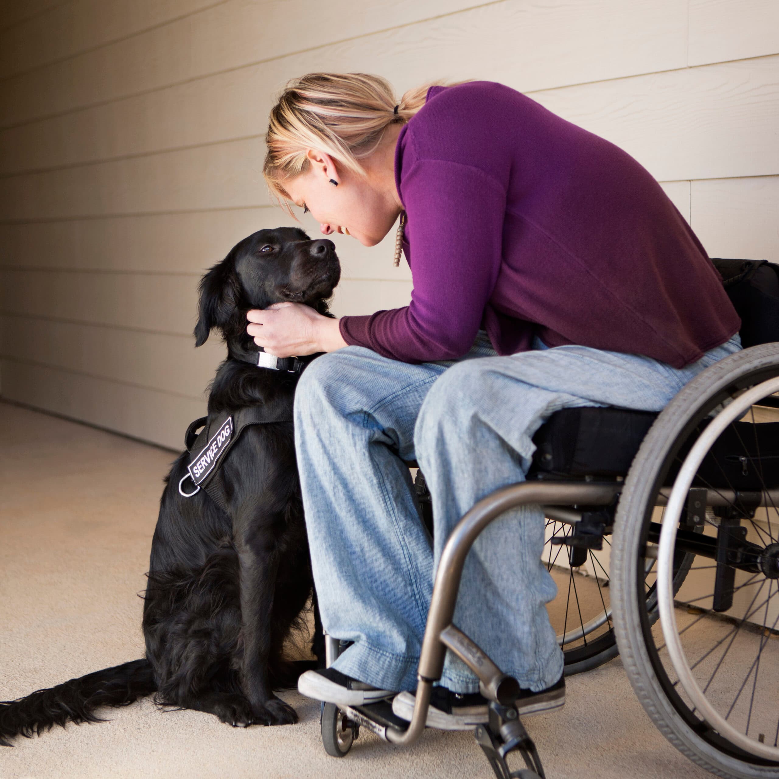 A woman in a wheelchair hugging her assistance dog